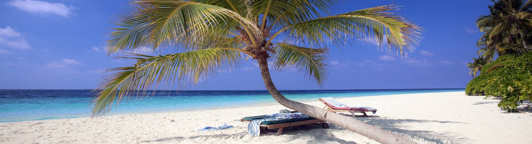 Maldives unveils logo for the Golden Jubilee Year of Tourism, 2022