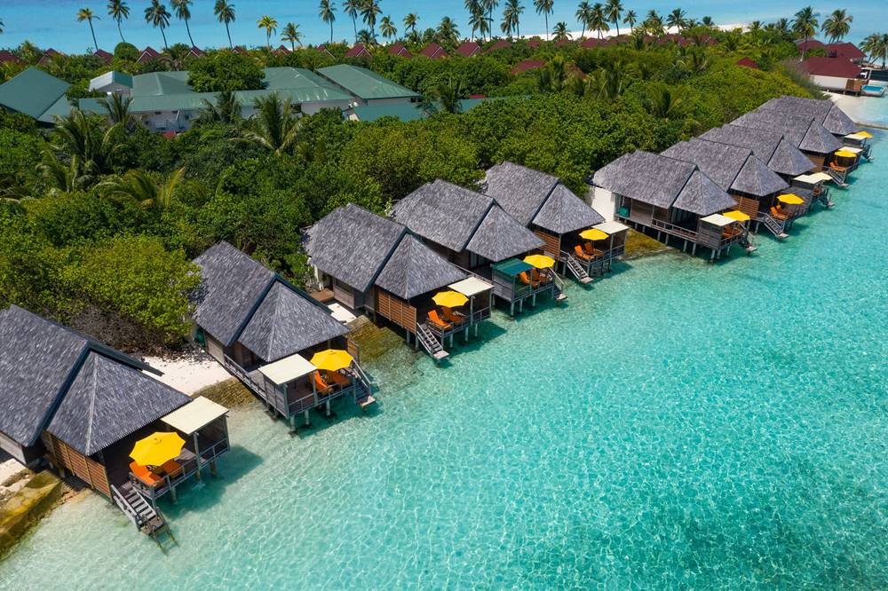 At Dhigufaru Island Resort, discover the duality of Maldives natural beauty, under water, and above water