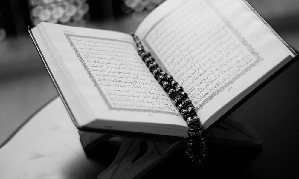 Islamic and Tropical Blend of the Maldives - The Perfection!