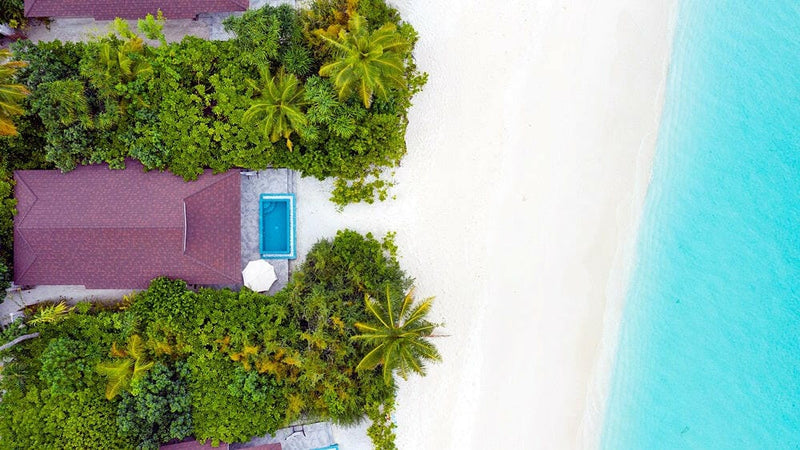 A beach villa at The Standard Huruvalhi from directly above, its pool and outdoor shower ringed by palms.