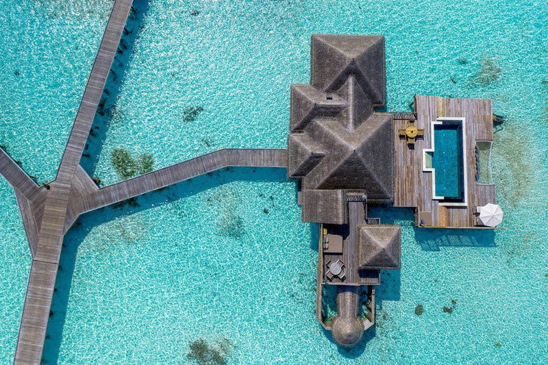 Looking straight down on a villa at Gili Lankanfushi, plunge pool and a branching timber walkway.