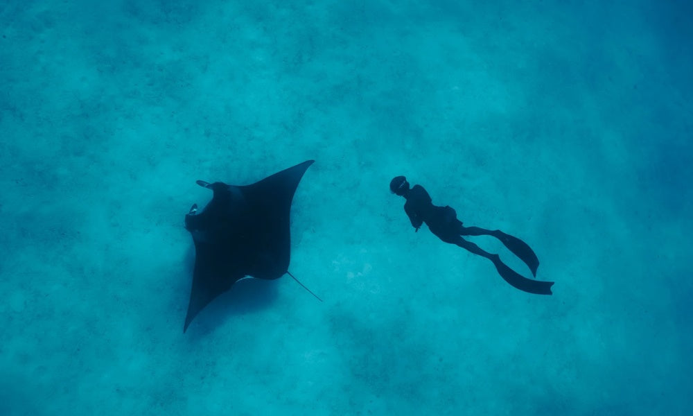 What Lies Beneath the Waters in the Maldives?
