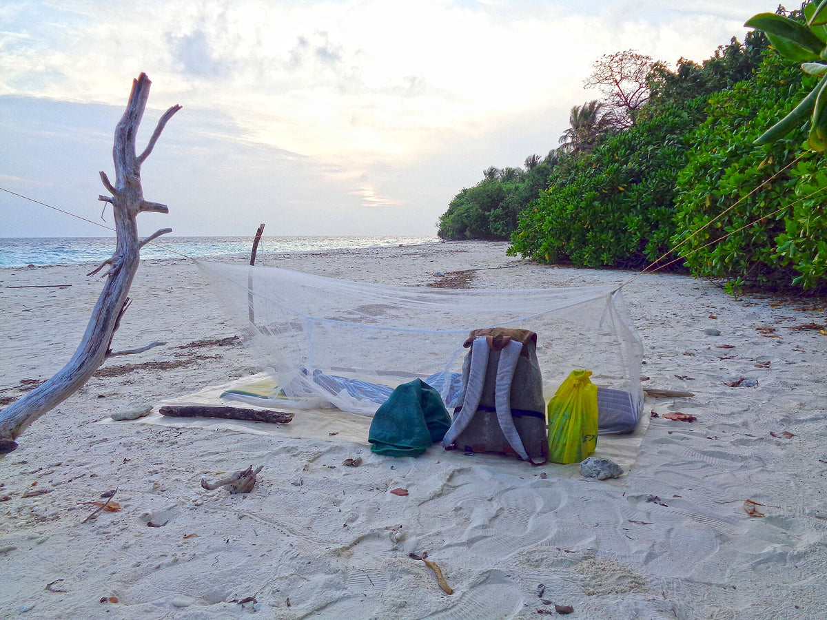 An empty white sand beach on Feridhoo, with driftwood and green bush running down to the sand