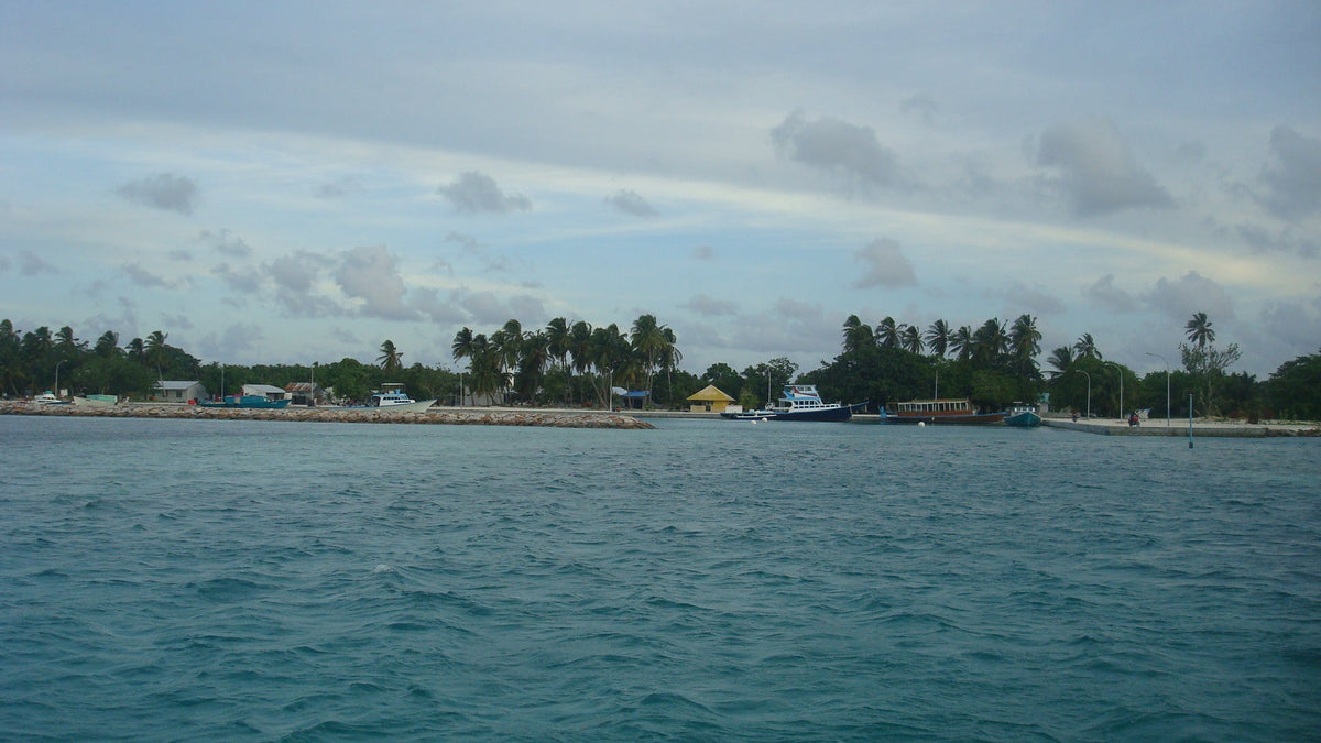 The island of Goidhoo seen across the lagoon, a low line of palms and houses