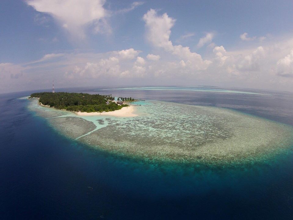 Hangnaameedhoo from the air, a small wooded island with a white beach on a wide reef flat in South Ari Atoll