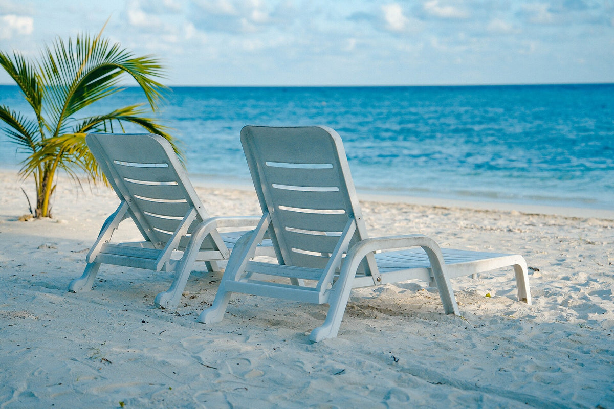 Sun loungers under a palm on the bikini beach at Himmafushi