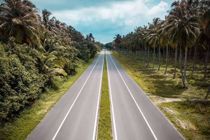The Laamu Link Road running straight between rows of palm trees