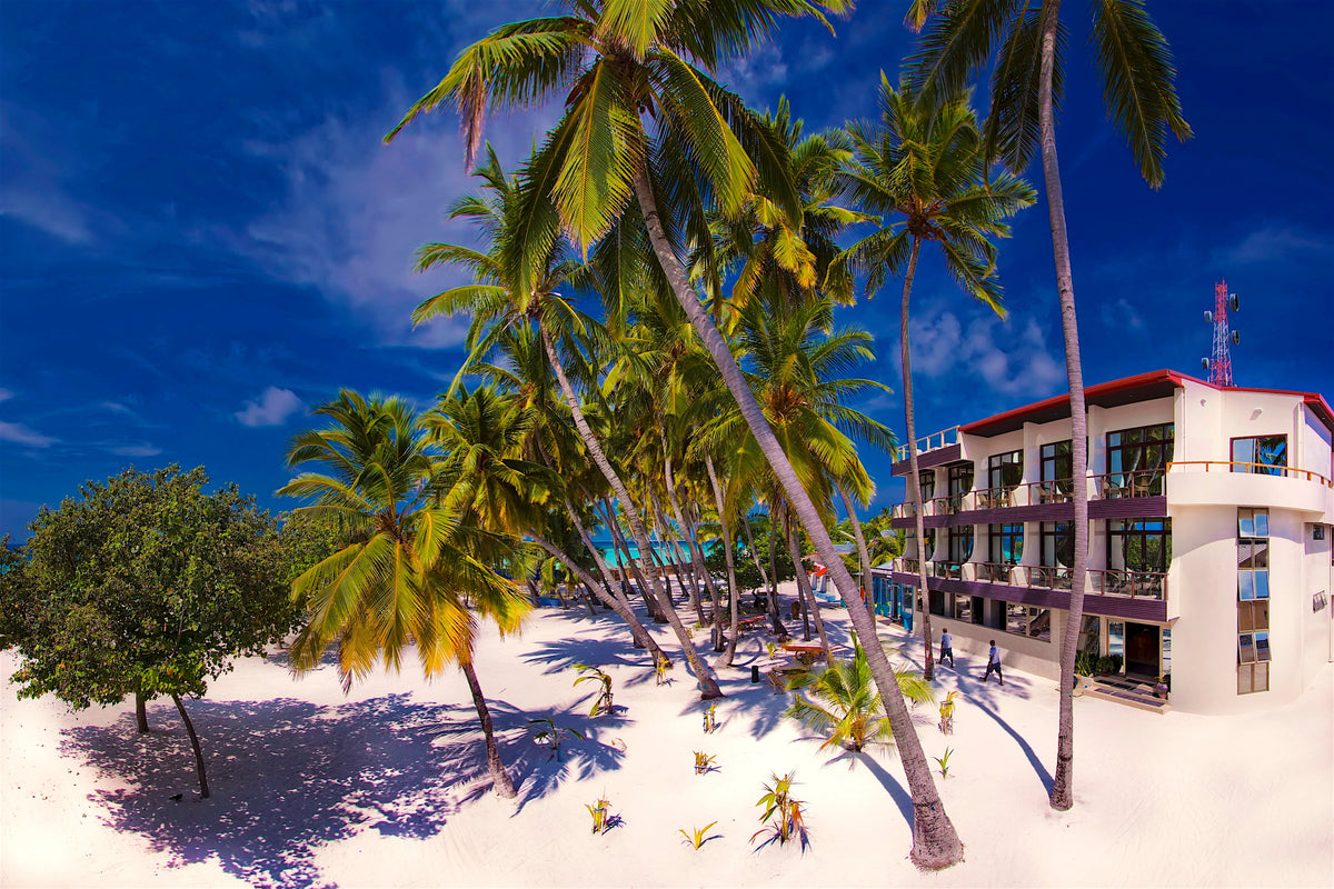 Kaani Beach Hotel, a guest house behind palm trees on the beach at Maafushi, a local island in South Malé Atoll