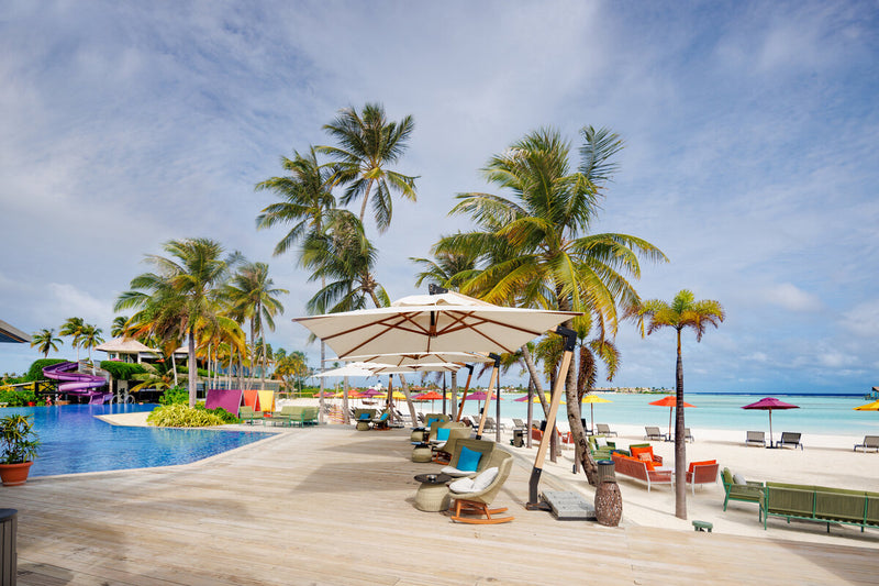 Poolside loungers and parasols at Hard Rock Hotel Maldives, under the palms.