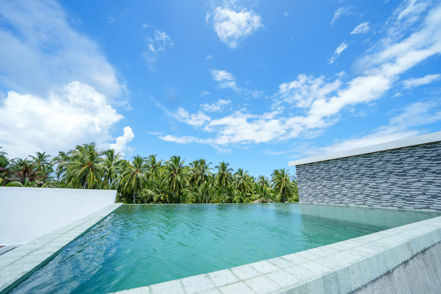 Infinity pool on the roof of Cozy Roots Fuvahmulah looking out over palm trees