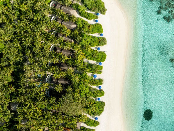 A Beach Plunge Pool Villa at Dusit Thani Maldives.