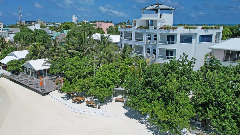 Rashu Hiyaa, a white hotel building behind the trees on the Dhiffushi beach