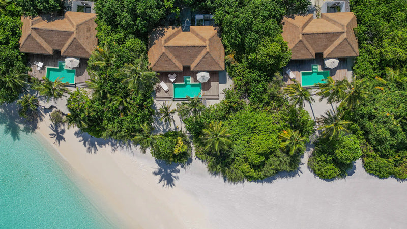 Beach villas at Noku Maldives seen from above, a small turquoise pool beside each thatched roof.