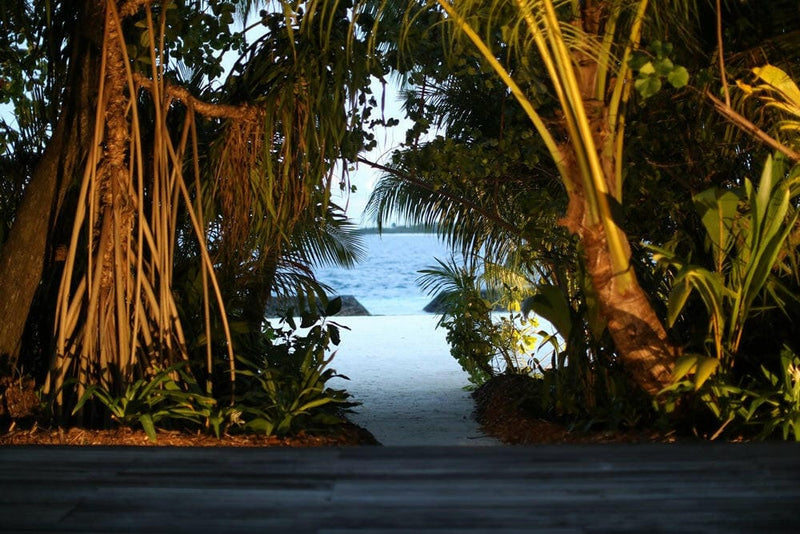 The lit garden path from an Island Villa at Coco Bodu Hithi, leading through palms to the sea at night