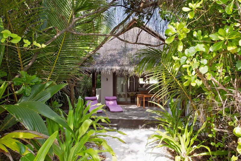 An Island Villa at Coco Bodu Hithi glimpsed through thick palm foliage, purple loungers on the sand