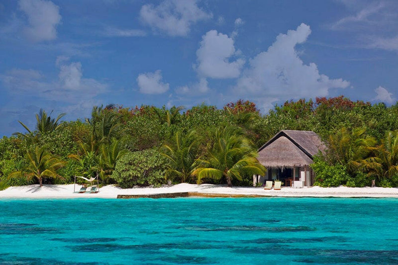 A thatched villa roof among the palms at Coco Bodu Hithi, seen from the turquoise shallows offshore