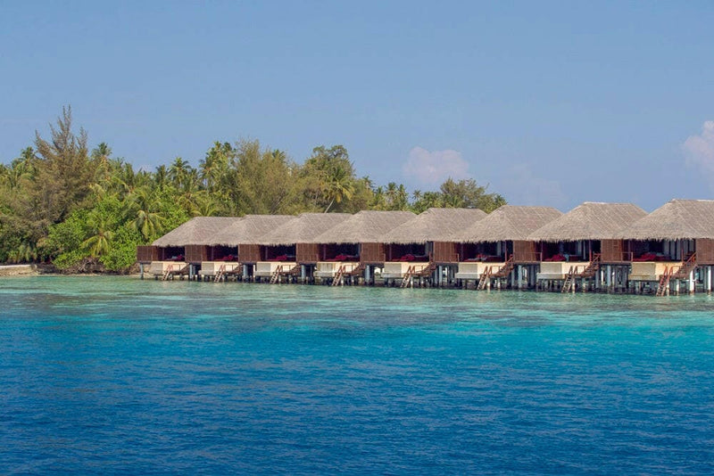 A row of overwater villas on stilts at Coco Bodu Hithi, the island's palms rising behind them