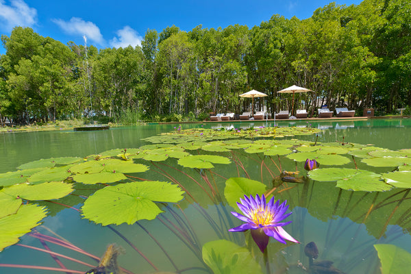 A third view of the saltwater lake at Dreamland Maldives.