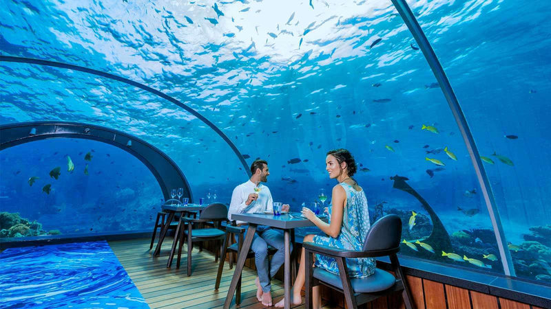 A couple dining under the glass at 5.8 Undersea Restaurant at Hurawalhi Maldives, near Kudadoo Maldives Private Island