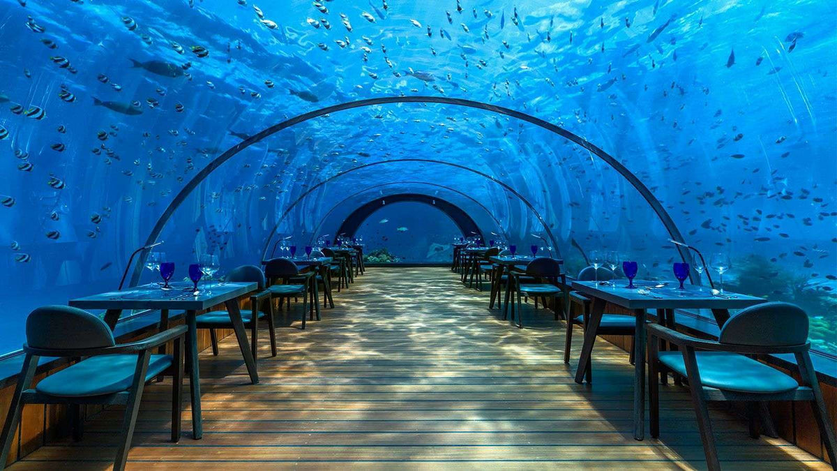 The curved glass dining room of 5.8 Undersea Restaurant at Hurawalhi Maldives, near Kudadoo Maldives Private Island