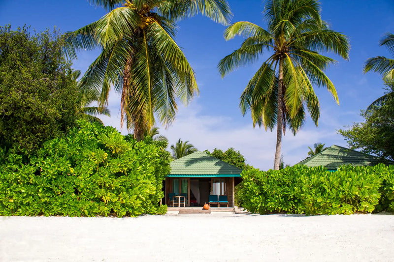 A villa with a private whirlpool at Canareef Resort Maldives among coconut palms