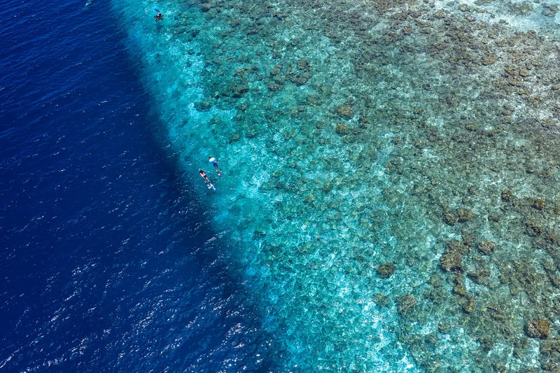 Snorkellers at the reef edge at Niva Kurumba Maldives, seen from the air.