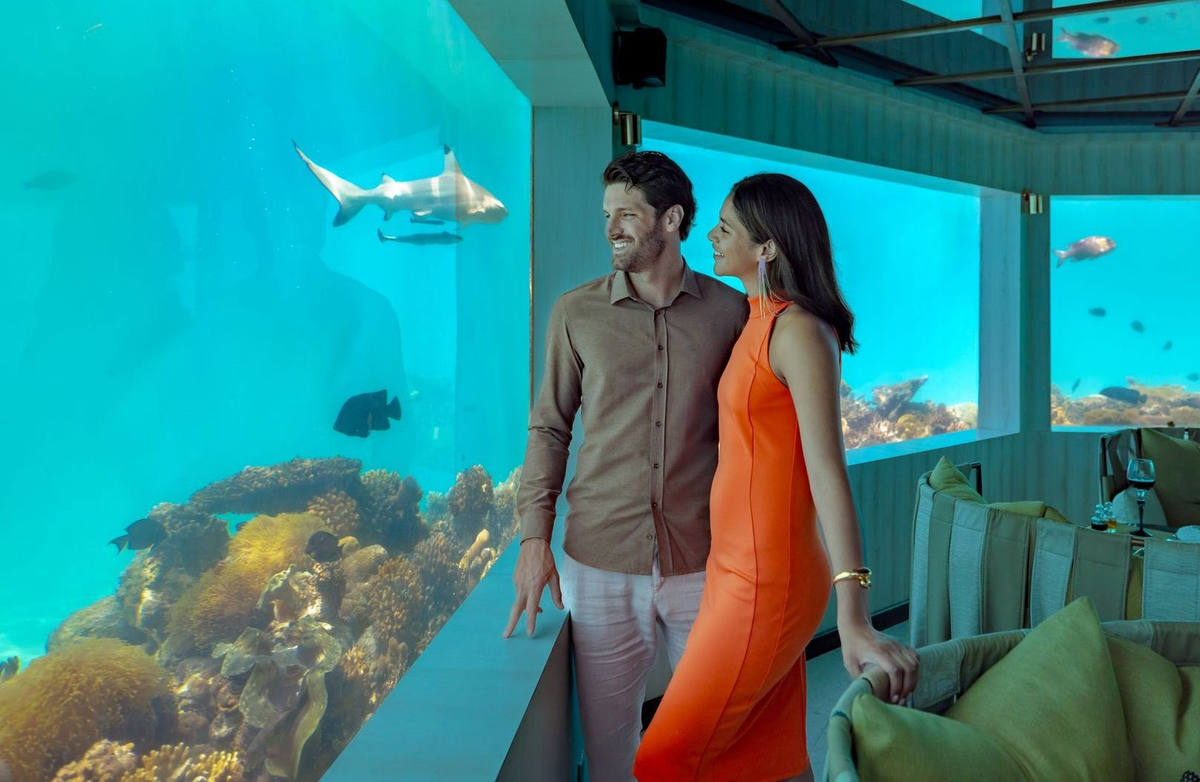 A reef shark passing the window of M6m at OZEN LIFE Maadhoo as a couple watches