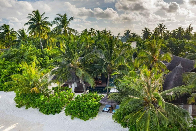 OZEN RESERVE Bolifushi from the air, a thatched villa roof and dark pool set deep in the palm canopy