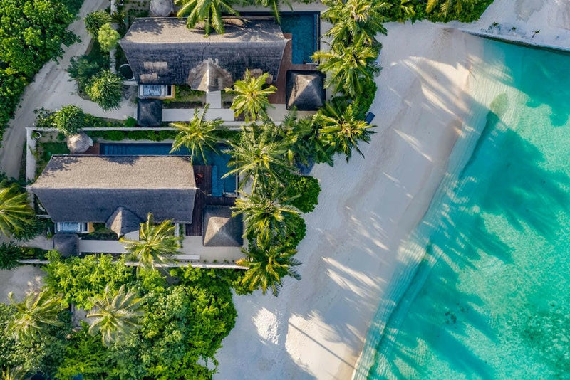 Two beach villas at OZEN RESERVE Bolifushi from above, each with a long dark pool among the palms