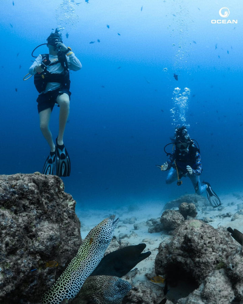 Two divers above a moray eel on the reef at Hard Rock Hotel Maldives.