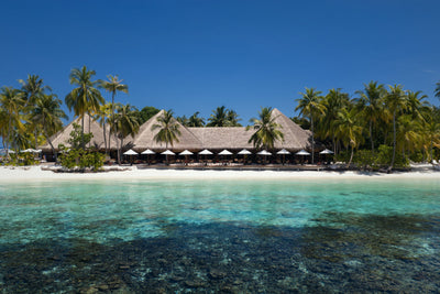 The beach at V Villas Maldives at Mirihi seen from the lagoon, thatched roofs and parasols behind white sand and clear water over the reef.