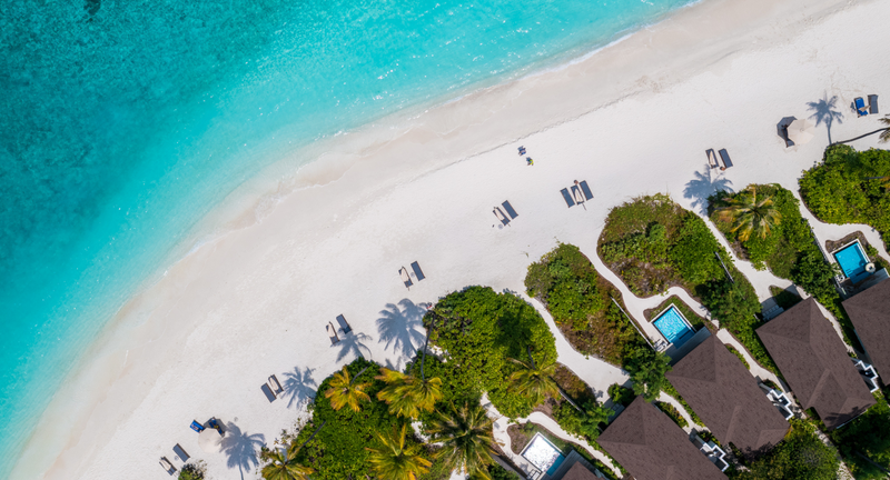 Beach villas among the palms at Avani+ Fares Maldives, seen from the air.