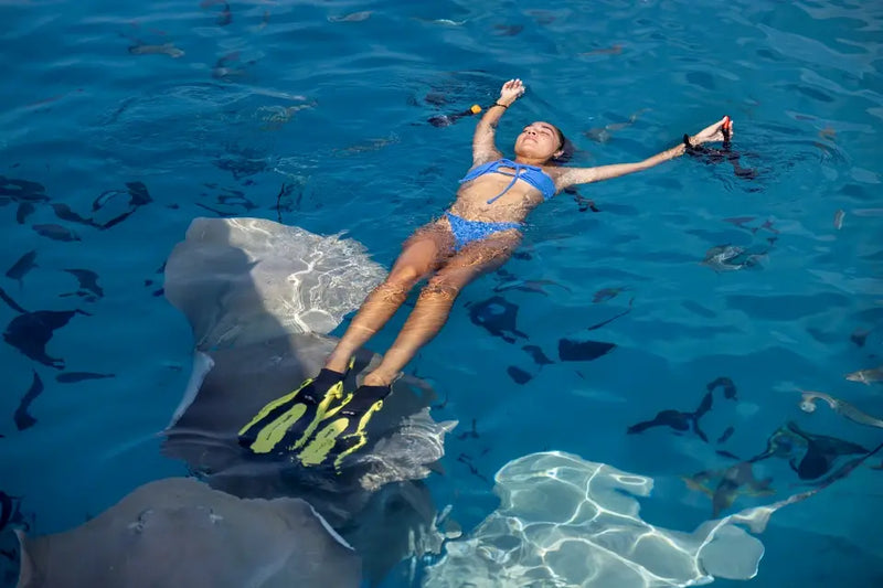 Snorkelling with sharks at Niva Velassaru Maldives.