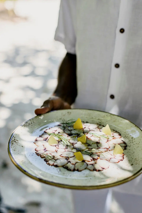 Octopus at Faru, Niva Dhigali Maldives.