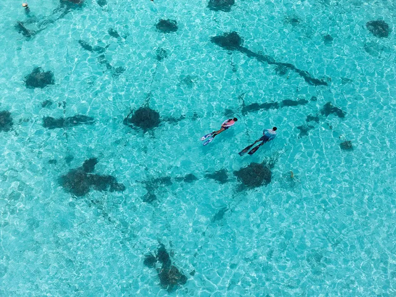 Snorkelling at Niva Kurumba Maldives, seen from the air.