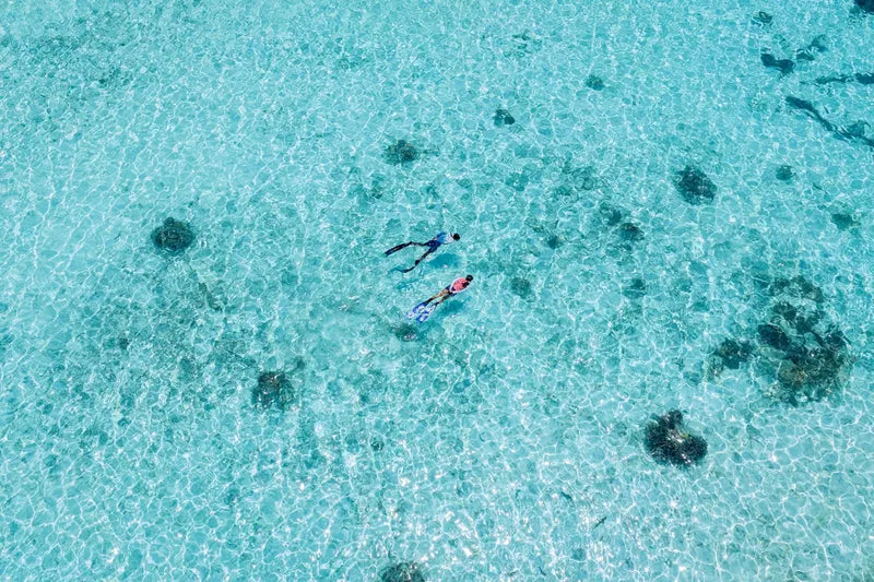 Another aerial view of snorkelling at Niva Kurumba Maldives.
