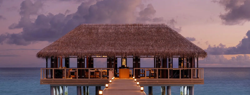 Sora at Niva Velassaru Maldives.
