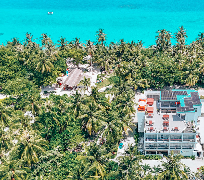 Bliss Dhigurah from the air, a white building with a rooftop terrace among palm trees on Dhigurah