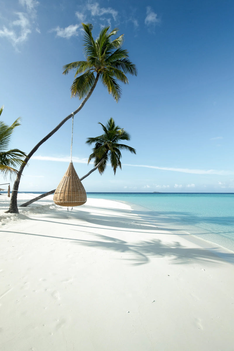 Constance Halaveli, North Ari Atoll: a woven basket chair hanging from a leaning palm over the white beach