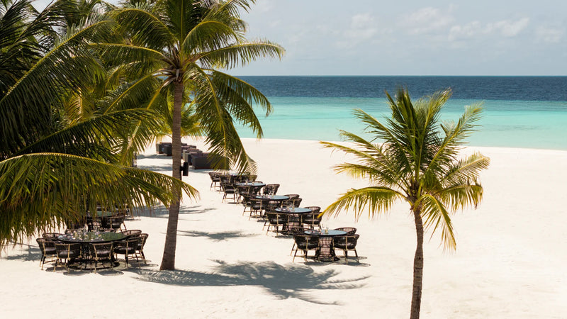 Constance Halaveli, North Ari Atoll: a row of dining tables set on the white sand between palm trees, the sea behind