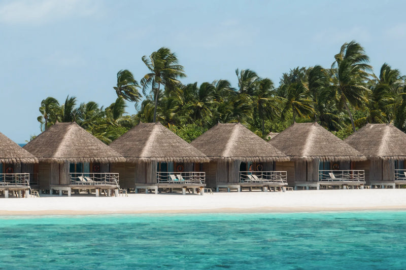 Constance Moofushi, South Ari Atoll: a row of thatched Sand Villas raised above the beach, palms behind