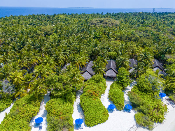 Beach villas at Dusit Thani Maldives seen from the air.