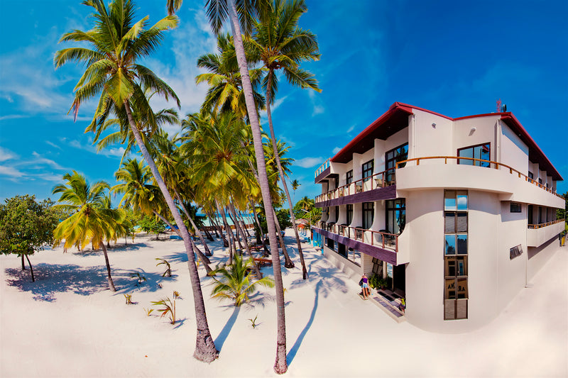Kaani Beach Hotel seen from the sand under leaning palm trees