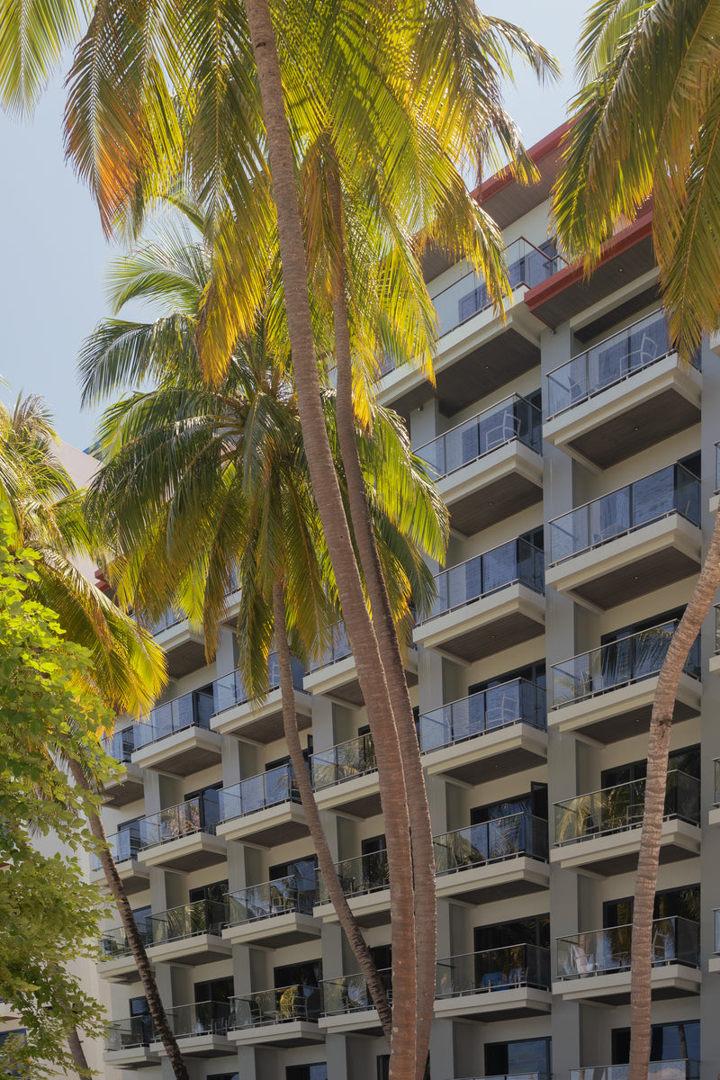 Kaani Grand Seaview, a tall hotel with balconies on every floor, framed by palm trees