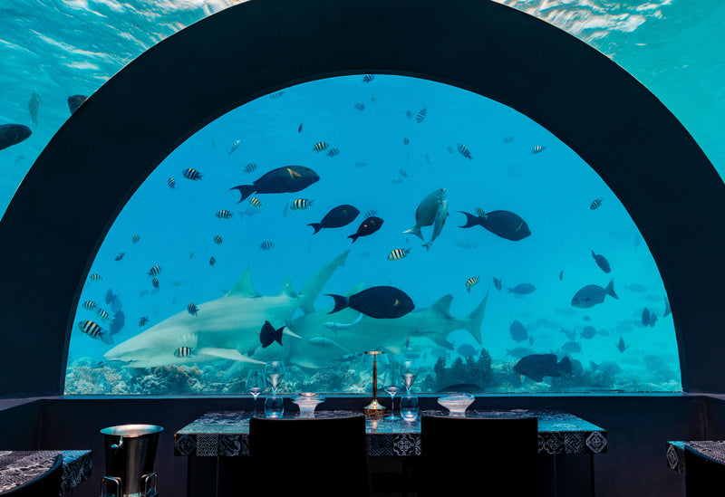 The underwater restaurant at You & Me Maldives.