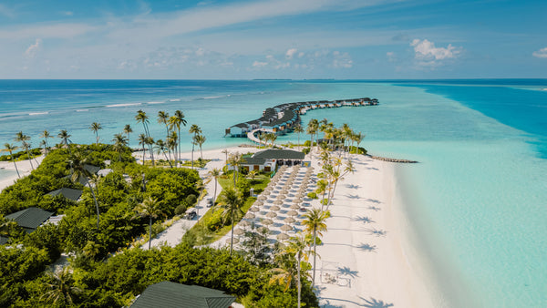 Joy Island from the air.