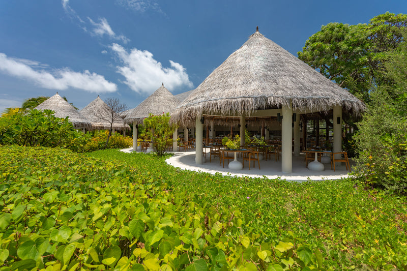 A thatched pavilion in the gardens at Cocoon Maldives.