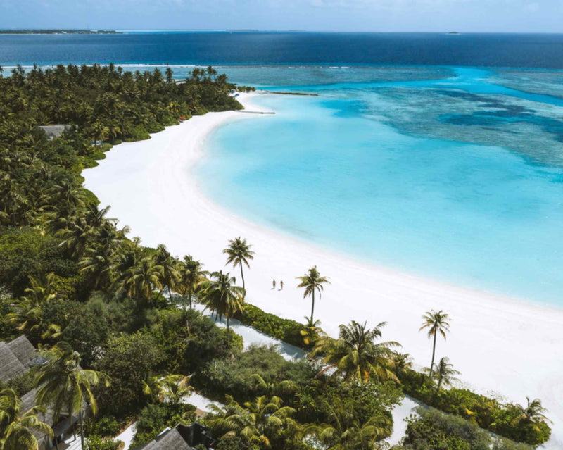 Long curving white sand beach backed by dense palms at Niyama Private Islands, seen from the air