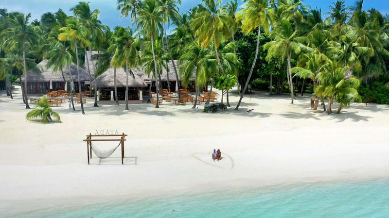A wooden arch standing on the white sand beach at Ayada Maldives, palms leaning over the shore