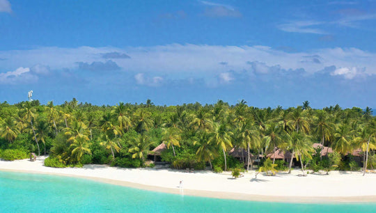 The beach at Ayada Maldives seen from the water, dense palms behind a strip of white sand